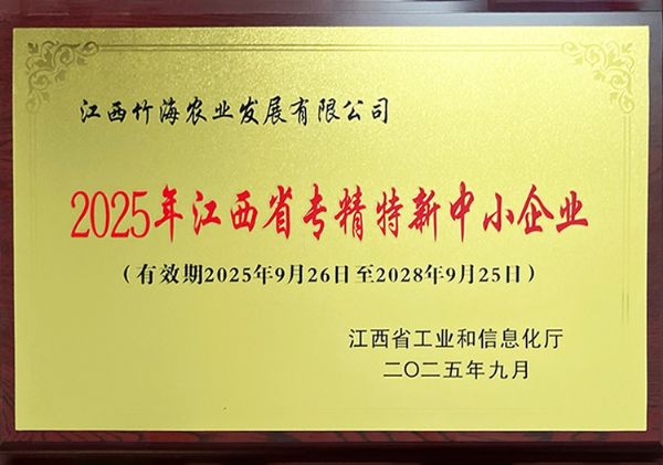 2025�꽭��ʡ��ר���ؾ�����С��ҵ